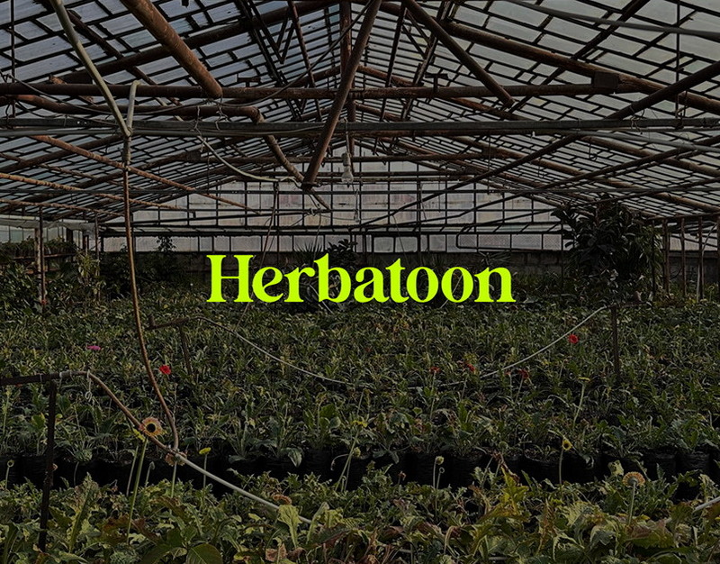 Рост тарифов ЖКУ хотят заморозить до 2028 года: какую судьбу ждет новая инициатива